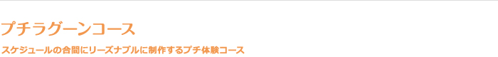 プチラグーンコース